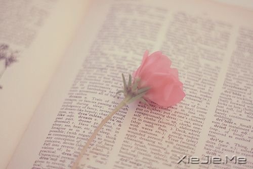 早安心语:别小看我,我没那么脆弱 (7)