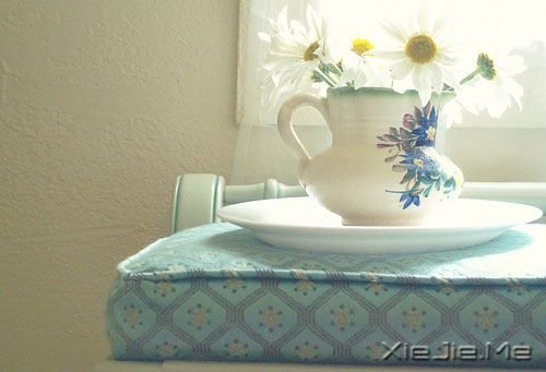 晚安心语:我想成为你最好的邂逅,最难的再见 (13)