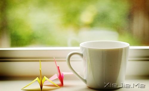 无论发生什么,先善待自己 (3) 小清新图片 (3)