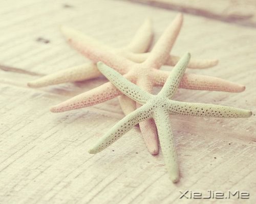 睡在向日葵上,即使沮丧,也能面朝阳光 (9)