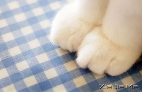 给时间一点时间,一切都会过去 (5)