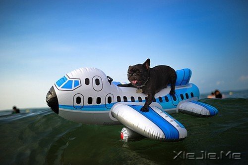 Z0eaF Z0eaF