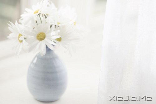 经典语录:与其埋怨世界,不如改变自己 (7)