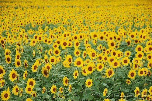 一个人流浪,不必去远方 (3)