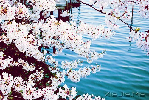 马年和自己的10个约定 (6)