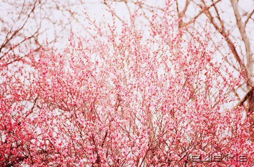 马年和自己的10个约定 (9)