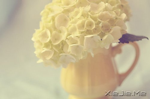 10首温暖的英文歌曲推荐 (7)