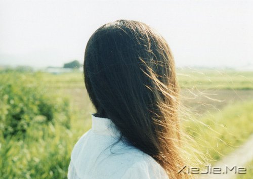 文字:谢谢那些最后没得到的