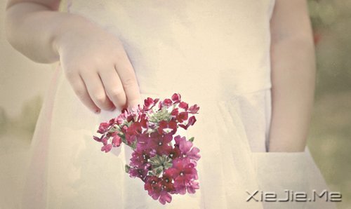 文字:唯有梦想才配让你不安