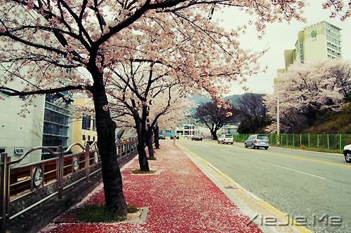 我们被这个世界改变了太多(文/留几手)