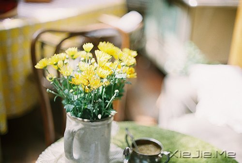 文字:记我的一个学生