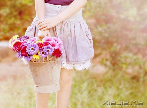 K6Lqx K6Lqx