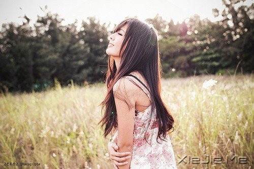 唯美的微情书